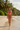 Summer Essentials Swim Set Sunset Coral - Lifestyle