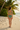 Support Swim Bra Sage Green - Back
