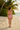Support Swim Bra Soft Pink - Back