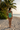 Square Neck Swimsuit Mint Green - Back